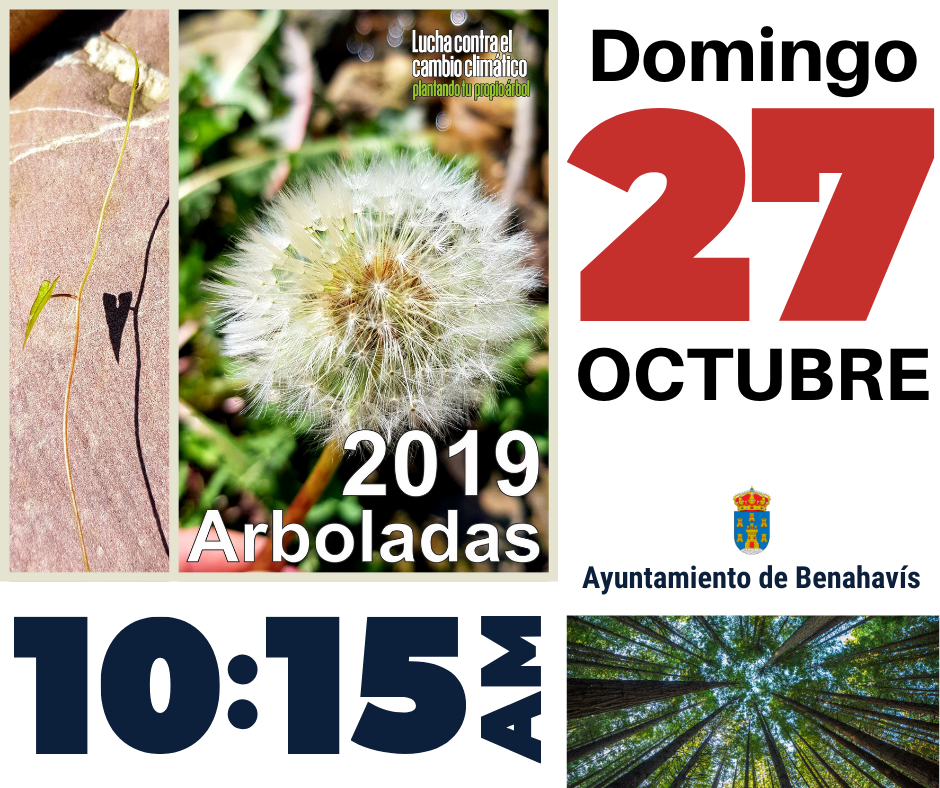 Benahavís celebra una arbolada para luchar contra el cambio climático - 73375438 1173816729476996 4261794321520394240 n Benahavís celebra una arbolada para luchar contra el cambio climático - 73375438 1173816729476996 4261794321520394240 n