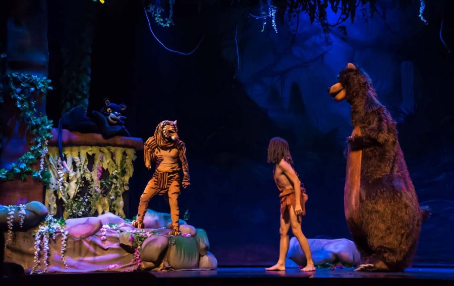 'Mowgli, el cachorro humano', en Estepona - mowgli el cachorro humano 11 'Mowgli, el cachorro humano', en Estepona - mowgli el cachorro humano 11