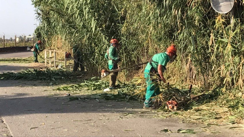 Estepona solicita a la Junta una subvención para el arreglo de ocho caminos rurales - 84bf9daf4d54b34050aa4cdc861dc5fe Estepona solicita a la Junta una subvención para el arreglo de ocho caminos rurales - 84bf9daf4d54b34050aa4cdc861dc5fe