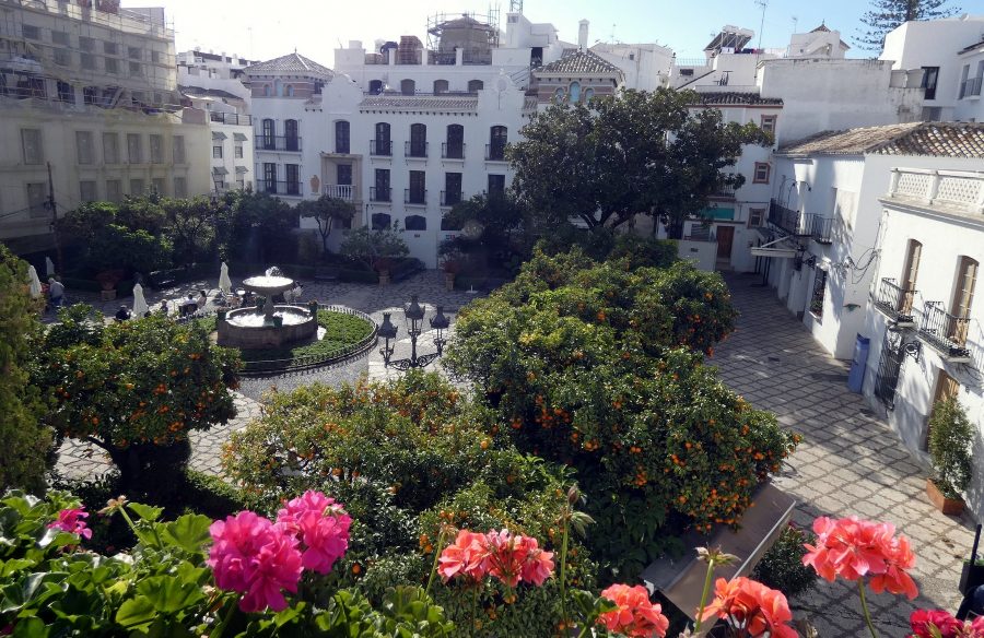 La Plaza de las Flores inicia su proceso de renovación - Plaza de las Flores 94 1 La Plaza de las Flores inicia su proceso de renovación - Plaza de las Flores 94 1