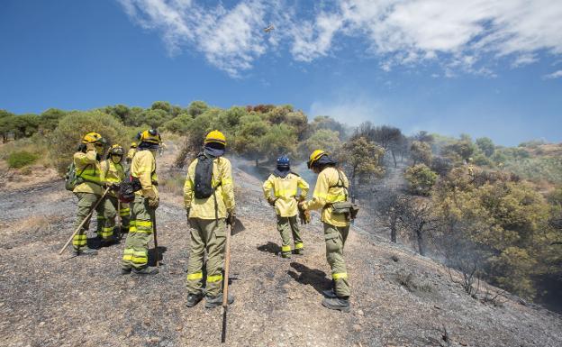 Casares concede Mención de Honor a las personas que ayudan en la extinción de incendios - bomberos infoca kkN U80969643135aoF Casares concede Mención de Honor a las personas que ayudan en la extinción de incendios - bomberos infoca kkN U80969643135aoF