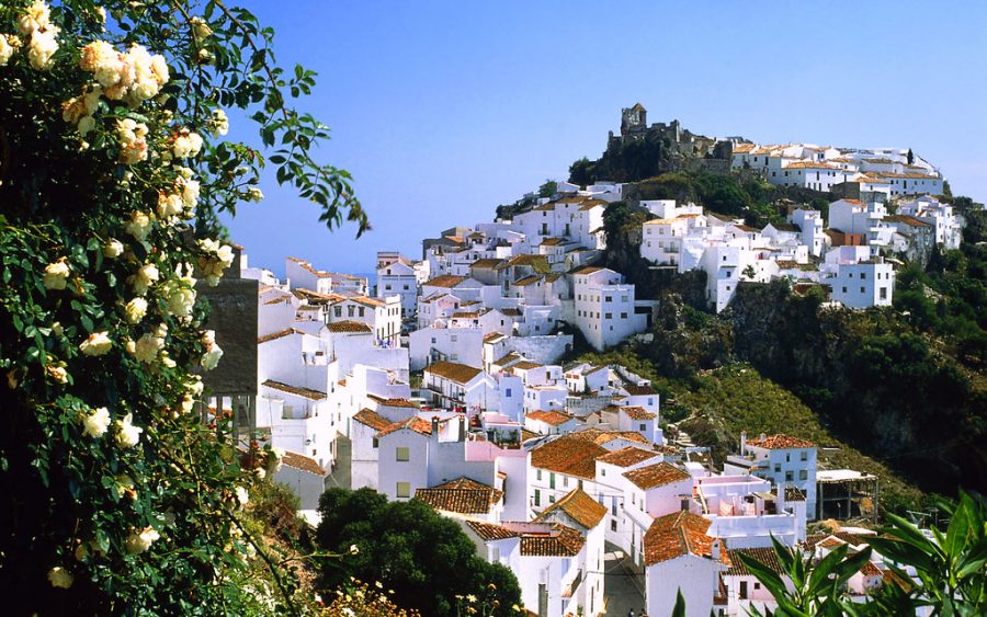 Casares celebra el Día de Andalucía a lo grande - 3679948706 5b7853f940 b Casares celebra el Día de Andalucía a lo grande - 3679948706 5b7853f940 b