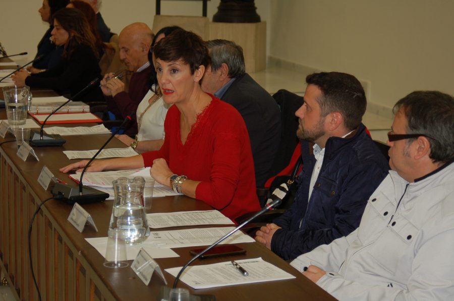 El PSOE propone destinar los más de 7 millones de euros del superavit a combatir la crisis sanitaria - Grupo Municipal Socialista 1 El PSOE propone destinar los más de 7 millones de euros del superavit a combatir la crisis sanitaria - Grupo Municipal Socialista 1