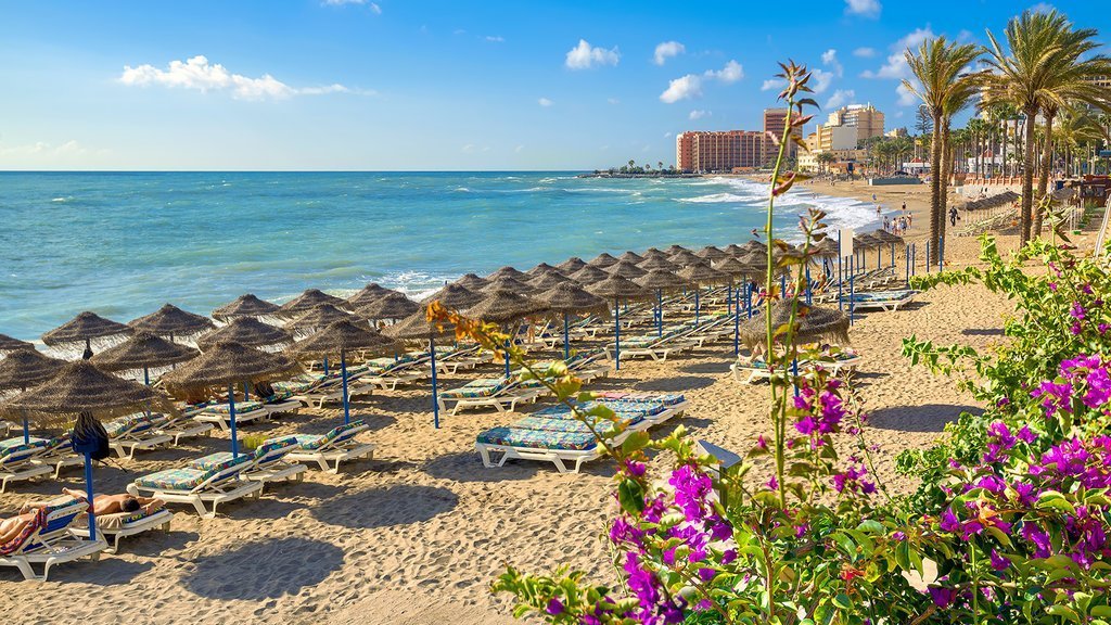Llega el calor y con él un aliado contra el coronavirus este verano - 176969 share image Llega el calor y con él un aliado contra el coronavirus este verano - 176969 share image