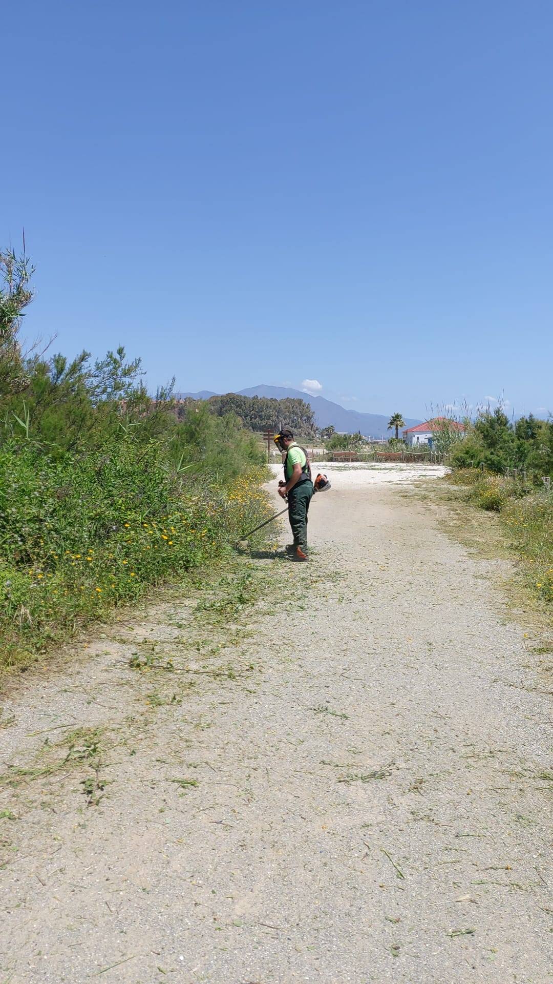 Manilva condiciona la reserva ecológica Playas del municipio - 95818041 2494990487481095 6009140794542260224 o Manilva condiciona la reserva ecológica Playas del municipio - 95818041 2494990487481095 6009140794542260224 o