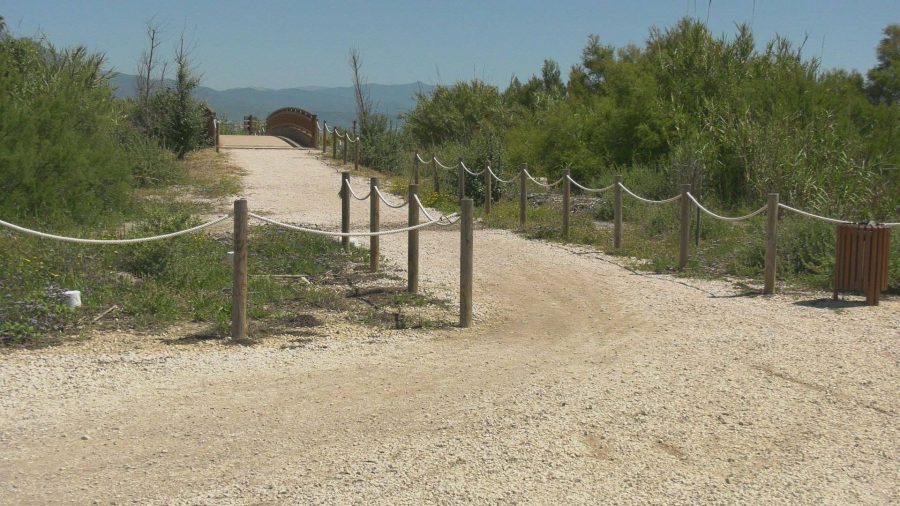 Continúan las mejoras en la reserva ecológica Playas de Manilva - 98588100 2505040199809457 2672745619881197568 o Continúan las mejoras en la reserva ecológica Playas de Manilva - 98588100 2505040199809457 2672745619881197568 o