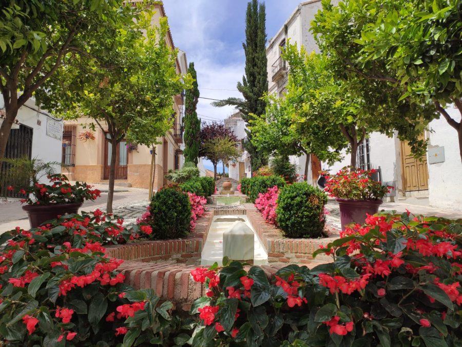 Estepona, seis días consecutivos sin confirmados por Covid-19 - plaza manuel alcántara