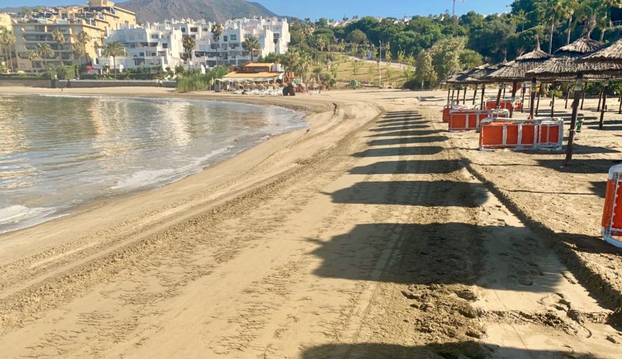 El Ayuntamiento de Estepona retira 500 toneladas de algas en el litoral - IMG 20200615 WA0018 El Ayuntamiento de Estepona retira 500 toneladas de algas en el litoral - IMG 20200615 WA0018