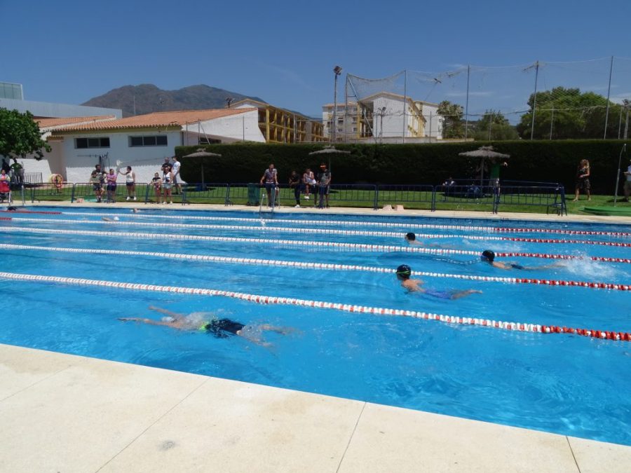 El PSOE de Estepona solicita que se acondicionen las piscinas municipales para abrir con "total" seguridad - piscina Estepona El PSOE de Estepona solicita que se acondicionen las piscinas municipales para abrir con "total" seguridad - piscina Estepona