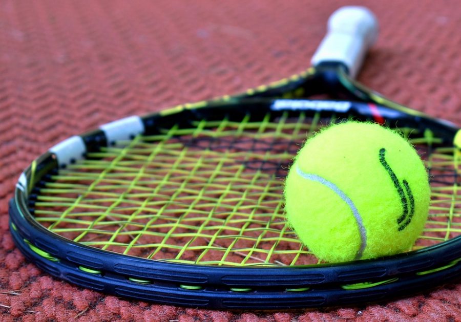 Los mejores jóvenes tenistas de España se citan en Estepona - tenis Los mejores jóvenes tenistas de España se citan en Estepona - tenis