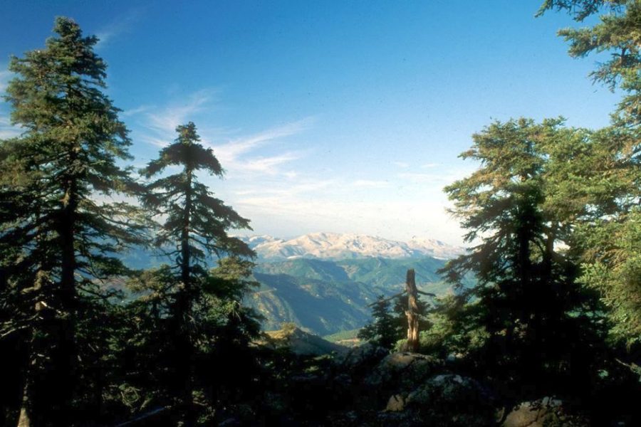 IU reclama la inclusión de Sierra Bermeja en el Parque Nacional Sierra de las Nieves - IMAGE1 RLARA 1 Sierra Bermeja
