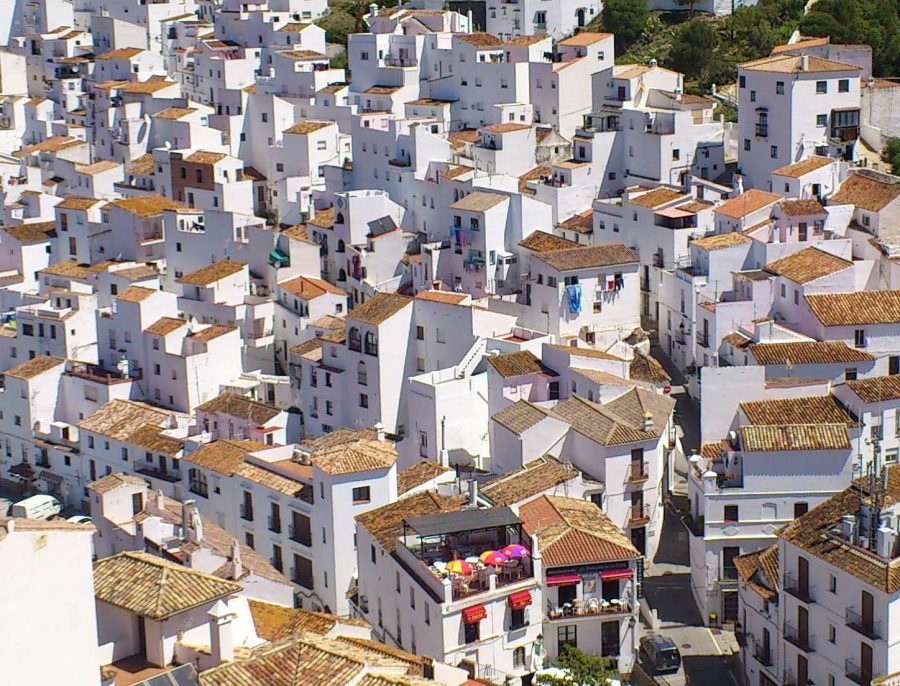 Casares conmemora el 8M bajo el lema 'Construyendo caminos para la Igualdad' - 119472704 2801130803502509 5722349214734482059 o Casares conmemora el 8M bajo el lema 'Construyendo caminos para la Igualdad' - 119472704 2801130803502509 5722349214734482059 o