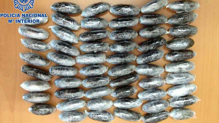 Cierran 4 establecimientos procannabis en Málaga: 8 detenidos y más de 6 kilos de droga incautada - Bellotas hachis Motril Policia Nacional Cierran 4 establecimientos procannabis en Málaga: 8 detenidos y más de 6 kilos de droga incautada - Bellotas hachis Motril Policia Nacional