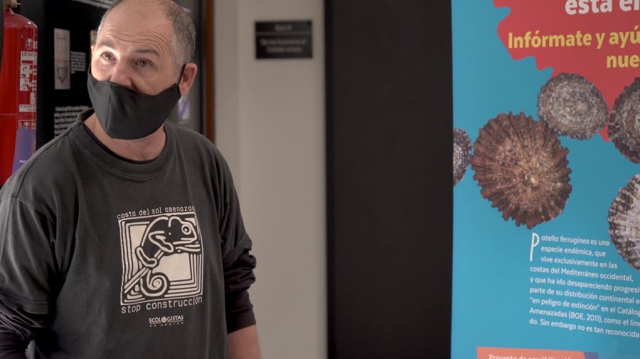 Concluye la exposición 'La lapa que da la lata' en Estepona - Concluye la exposición 'La lapa que da la lata' en Estepona -