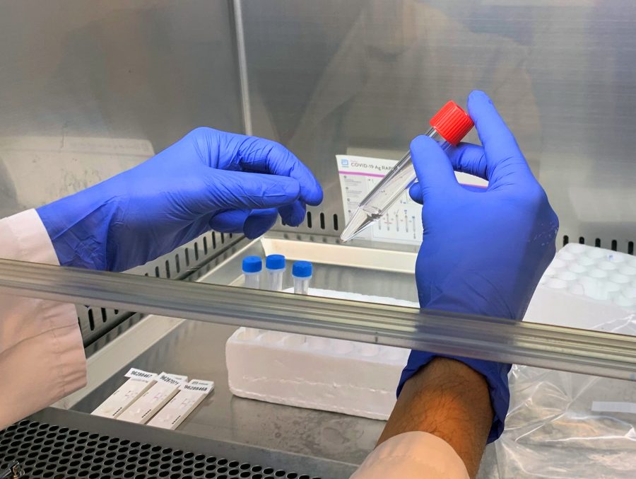 La Junta realiza más de 20.000 test de Covid a la comunidad educativa de Málaga - tests saliva quironsalud andalucia La Junta realiza más de 20.000 test de Covid a la comunidad educativa de Málaga - tests saliva quironsalud andalucia
