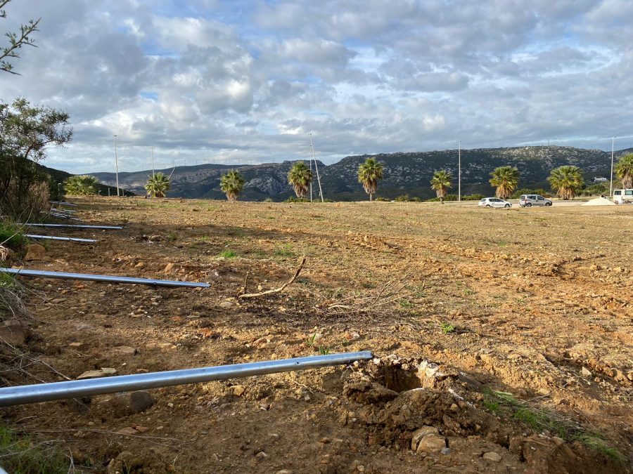 Avanzan los trabajos de la zona verde de Doña Julia en Hacienda de Casares - 131391257 2883602795255309 3381211266008824415 o Avanzan los trabajos de la zona verde de Doña Julia en Hacienda de Casares - 131391257 2883602795255309 3381211266008824415 o