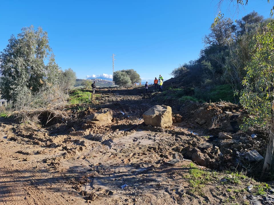 Manilva recupera más de 20.000 metros cuadrados de paraje natural - 131474647 2682885628691579 511527624493273483 n Manilva recupera más de 20.000 metros cuadrados de paraje natural - 131474647 2682885628691579 511527624493273483 n