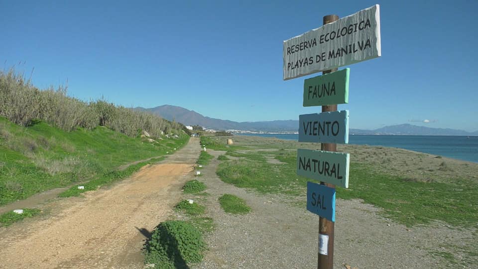 La Reserva Ecológica Playas de Manilva recibe el Premio 'Málaga Viva 2024' - 131673830 2682172395429569 4666377335090939712 n La Reserva Ecológica Playas de Manilva recibe el Premio ‘Málaga Viva 2024’