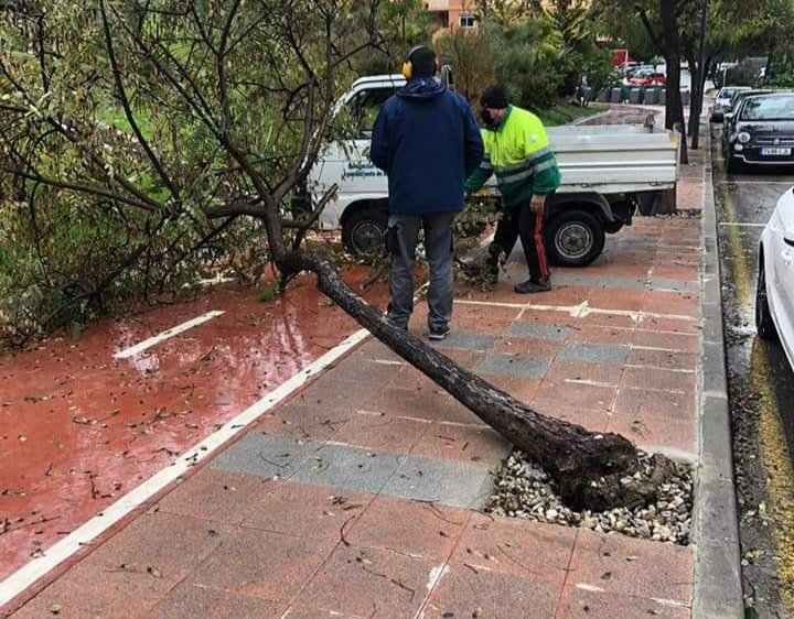 Algunas zonas de Manilva se ven afectadas por el temporal - 20210107 185018 Algunas zonas de Manilva se ven afectadas por el temporal - 20210107 185018