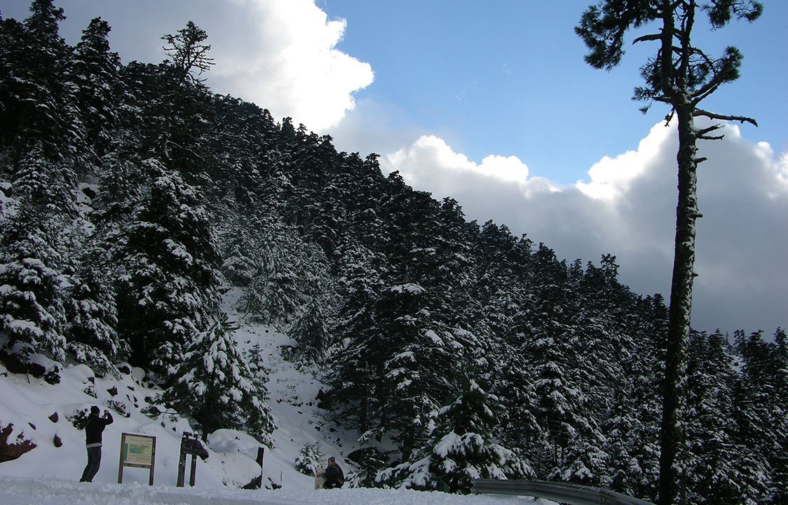Este lunes 4 de enero es el día más frío del invierno: 5,4 grados a las siete de la mañana - estepona sierrabermeja ei 17 Nieve Sierra Bermeja
