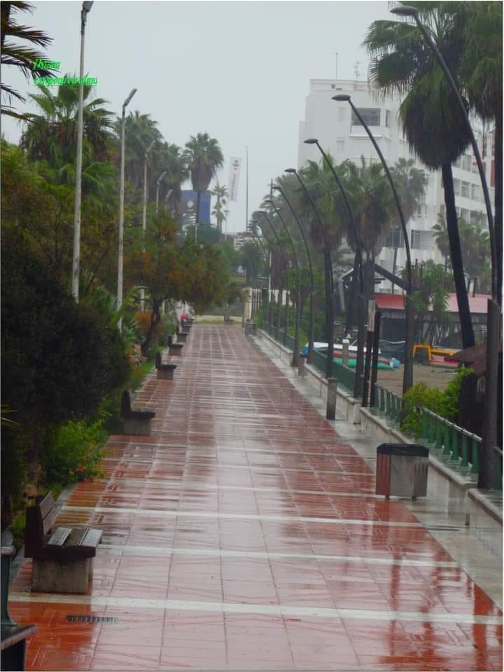 Las lluvias han dejado 30 litros durante el miércoles, y continuarán hasta el lunes - lluvia paseo maritimo Las lluvias han dejado 30 litros durante el miércoles, y continuarán hasta el lunes - lluvia paseo maritimo