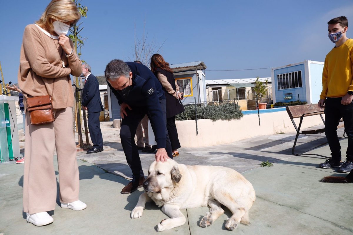 La nueva Ley de Bienestar Animal promueve el "abandono cero" y acabará con el sacrificio de animales en Andalucía - Bendodo Ley Proteccion animal1 La nueva Ley de Bienestar Animal promueve el "abandono cero" y acabará con el sacrificio de animales en Andalucía - Bendodo Ley Proteccion animal1
