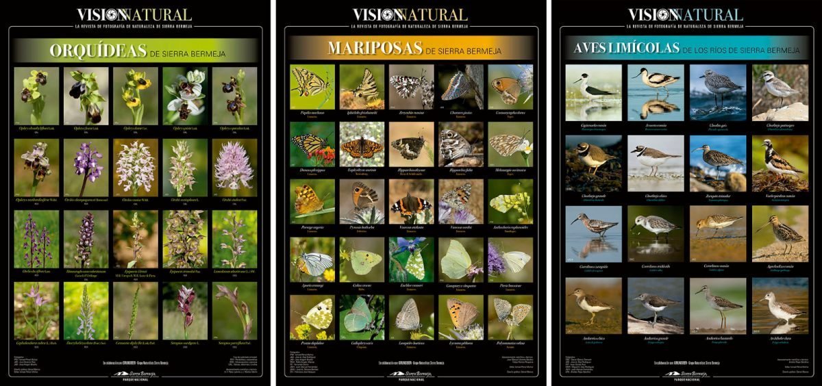 Los centros educativos reciben carteles sobre la flora y fauna de Sierra Bermeja - Carteles Grunsber Los centros educativos reciben carteles sobre la flora y fauna de Sierra Bermeja - Carteles Grunsber