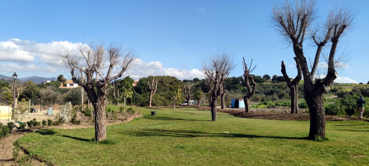 La Cala se revitaliza con nuevas pistas deportivas y una zona verde de más de 2.000 metros cuadrados - IMG 20210215 WA0013 La Cala se revitaliza con nuevas pistas deportivas y una zona verde de más de 2.000 metros cuadrados - IMG 20210215 WA0013