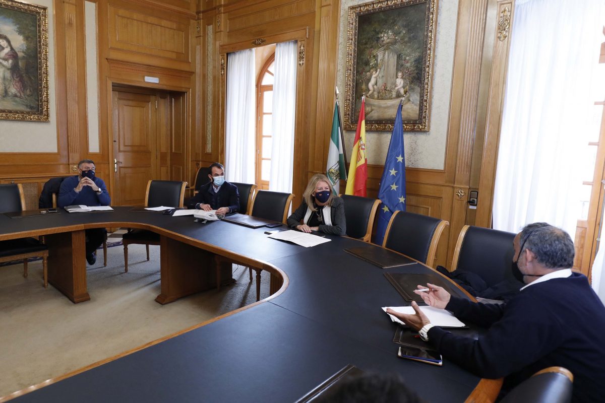 Marbella subvencionará al sector taxi con 150.000 euros - MG 9343 Marbella subvencionará al sector taxi con 150.000 euros - MG 9343