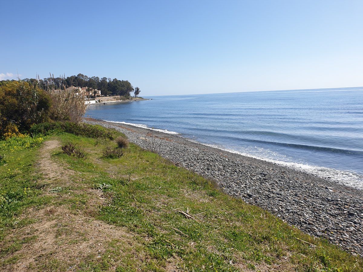 El PSOE insiste en la necesidad de una playa canina en Estepona - 20210310 121038