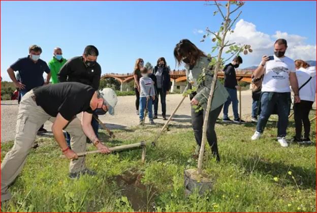 Una treintena de niños plantan 300 árboles con la Diputación de Málaga - Captura 2 Una treintena de niños plantan 300 árboles con la Diputación de Málaga - Captura 2