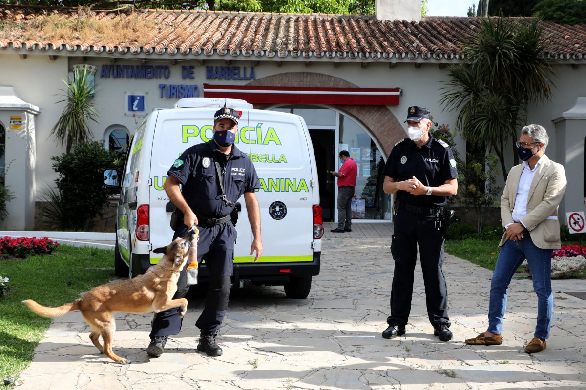La Unidad Canina de la Policía Local de Marbella logra levantar más de 200 actas por consumo de drogas - 0H3A8947