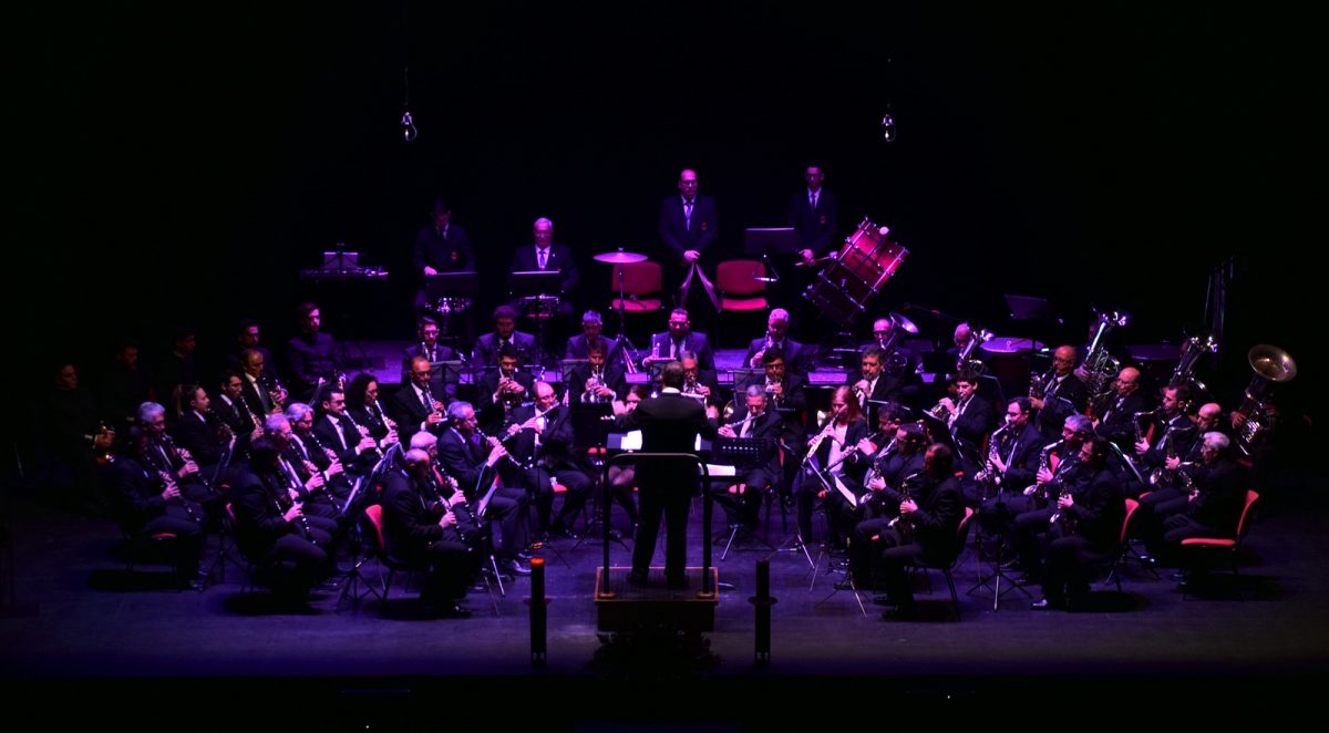Estepona acoge la obra ‘Una noche en la ópera’ de Ferrer Ferran - DSC 9119 Banda Municipal de Música de Estepona.