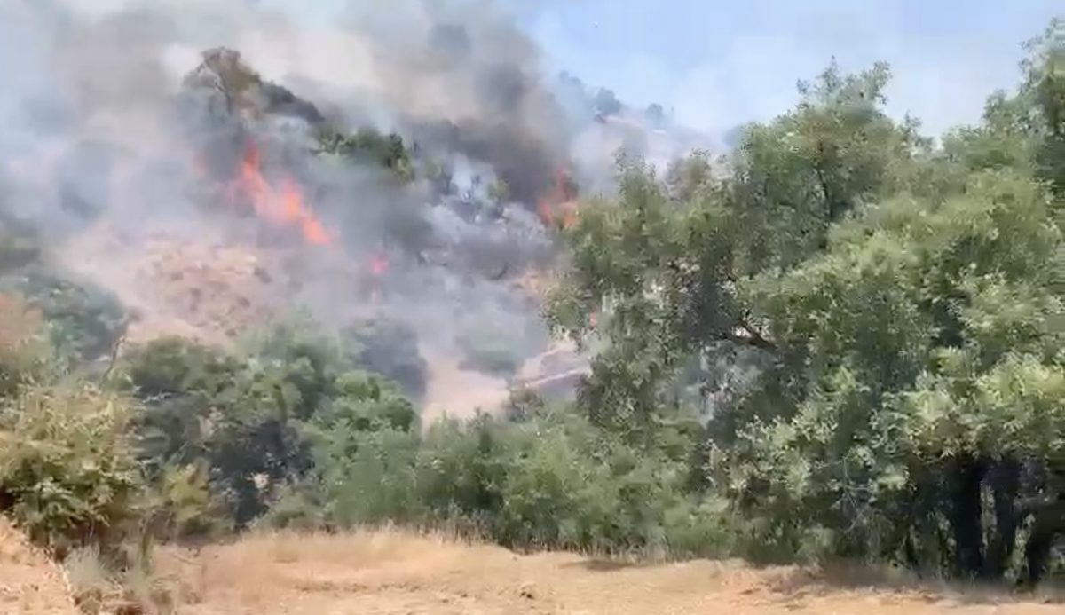 Controlado el incendio de Monterroso en Estepona tras arrasar cuatro hectáreas de monte bajo - Captura de pantalla 2021 07 19 a las 17.07.51 Fragmento de un vídeo del incendio producido en Estepona este lunes.
