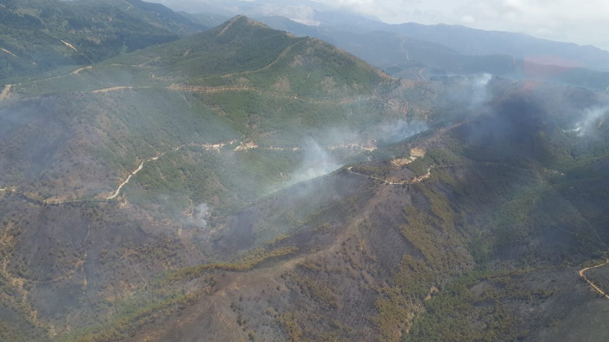Estabilizado el incendio de Peñas Blancas tras arrasar 350 hectáreas de pinares en el corazón de Sierra Bermeja - E52vZ1bXMAM 5J4 Incendio Peñas Blancas Jubrique.