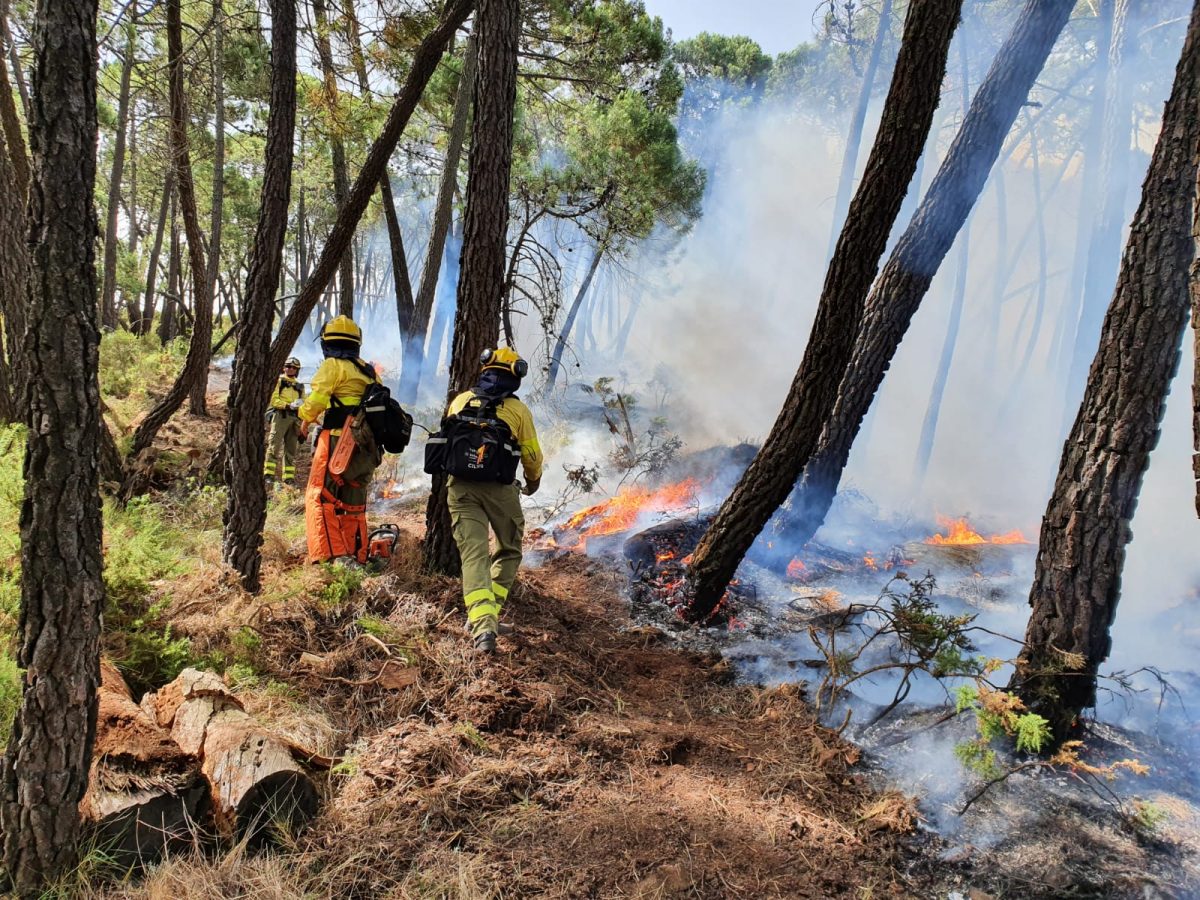 El incendio en Peñas Blancas, tras afectar a 350 hectáreas de pinar, evoluciona de manera favorable - Incendio en la zona de Peñas Blancas en Jubrique. INFOCA