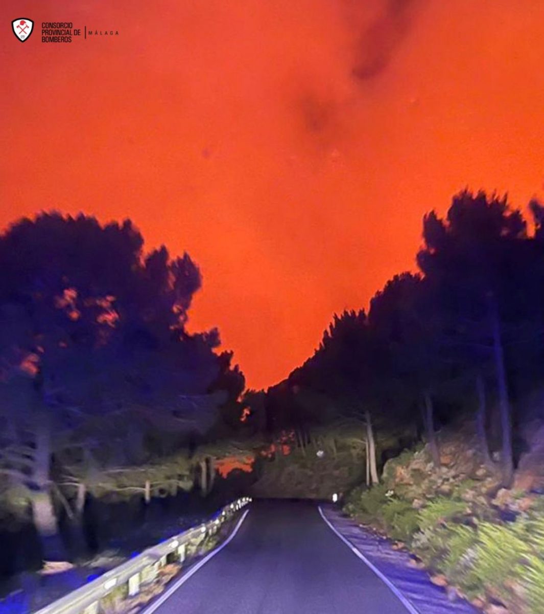 El paraje de Peñas Blancas en Jubrique, en llamas durante esta madrugada - WhatsApp Image 2021 07 09 at 11.07.49 Incendio en Peñas Blancas en Jubrique durante la madrugada del jueves al viernes.