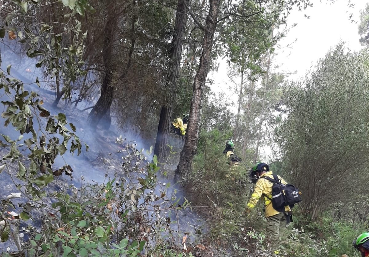 Extinguido el incendio de Jubrique tras 12 días de trabajo y 350 hectáreas calcinadas - incendio 1 Extinguido el incendio de Jubrique tras 12 días de trabajo y 350 hectáreas calcinadas - incendio 1