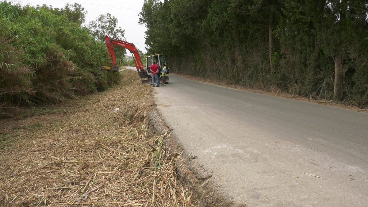 Continúan los trabajos de desbroce en la carretera del río Manilva - 238772526 2865077190472421 4365855614990906530 n Desbroce y limpieza en la carretera del río Manilva.