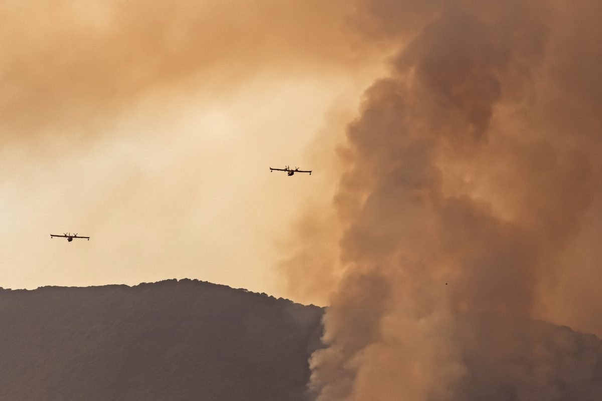 Tres años del incendio de Sierra Bermeja, y aún sin culpables - E Tres años del incendio de Sierra Bermeja, y aún sin culpables - E