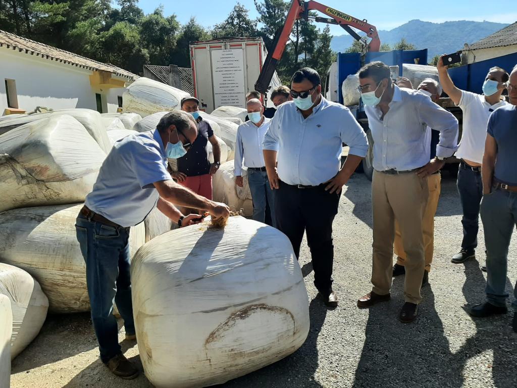 50.000 kilos de alimento para el ganado de Sierra Bermeja - foto alimento ganado Sierra Bermeja 2 Alimento recepcionado para las explotaciones ganaderas afectadas por el incendio de Sierra Bermeja.