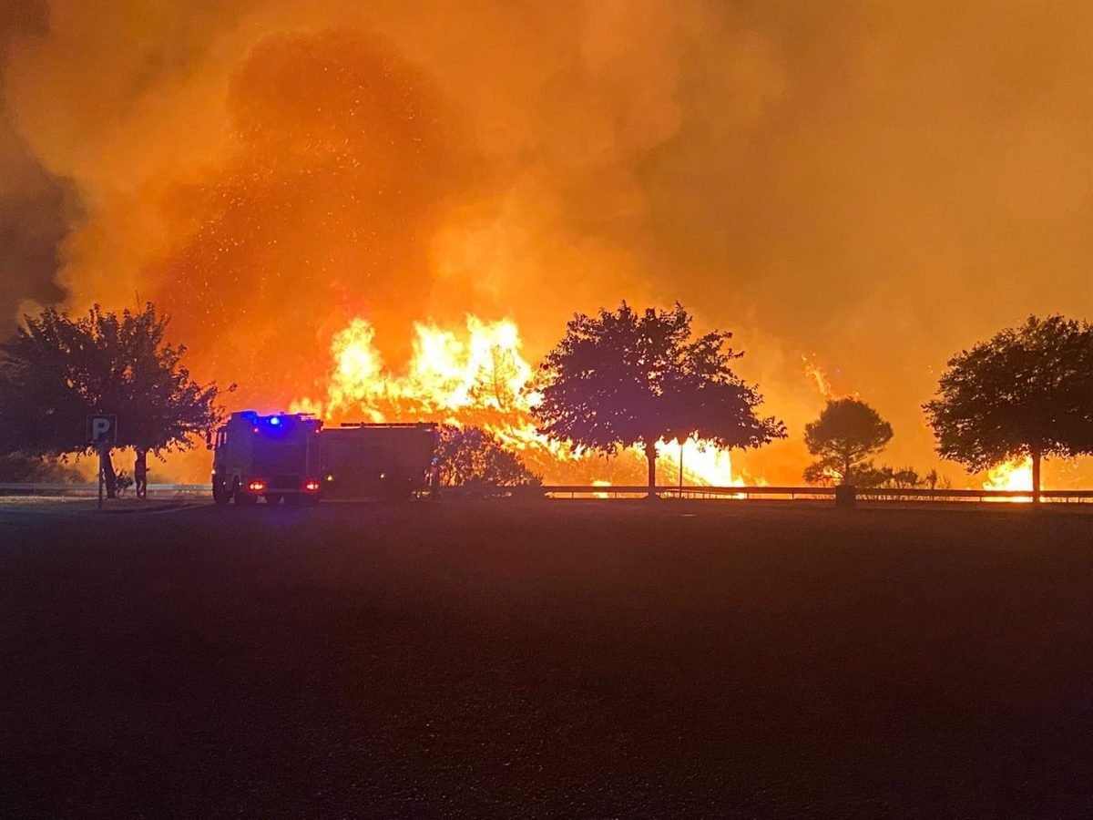 Declarado nivel 2 de emergencias en el incendio de Sierra Bermeja - fotonoticia 20210909105756 1920 Declarado nivel 2 de emergencias en el incendio de Sierra Bermeja - fotonoticia 20210909105756 1920