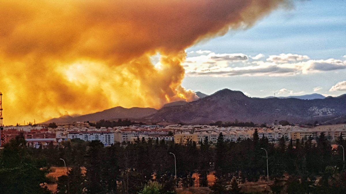Los sindicatos piden a García Urbano que ponga de nuevo en servicio la patrulla verde - incendio sierra bermeja Lucia Anaya Morales Incendio de Sierra Bermeja.