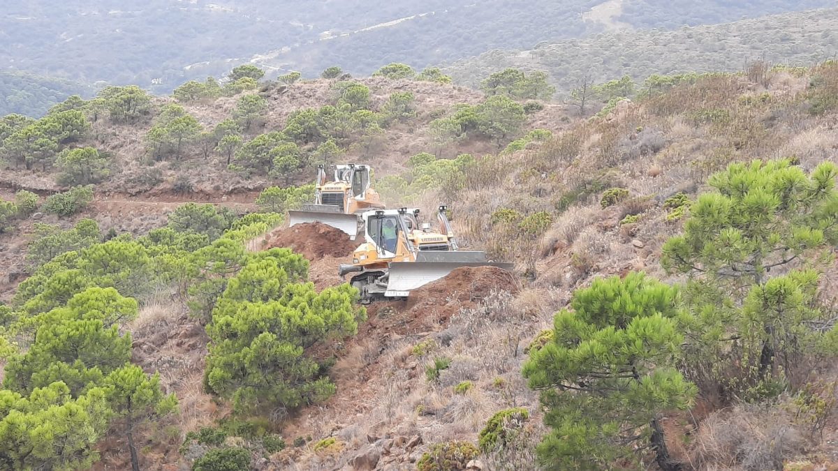 Más de 60 bomberos siguen trabajando en el incendio, cuando se cumple una semana desde su inicio - monte duque Más de 60 bomberos siguen trabajando en el incendio, cuando se cumple una semana desde su inicio - monte duque