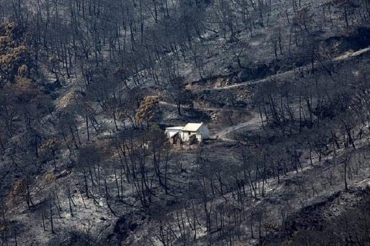 Casi 1.500 personas firman para prohibir la temporada de caza en Sierra Bermeja - quemado Casi 1.500 personas firman para prohibir la temporada de caza en Sierra Bermeja - quemado