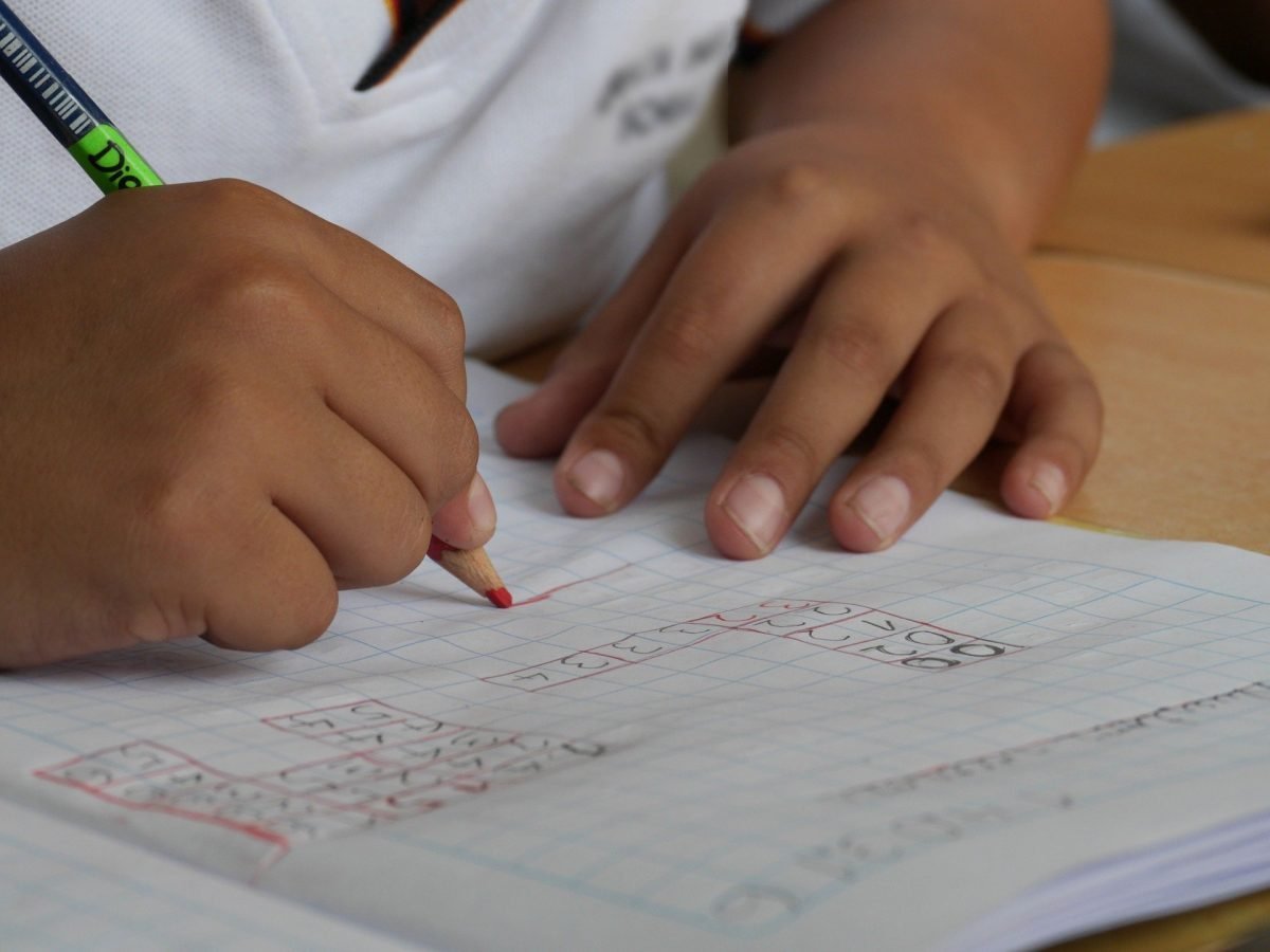 Las familias de San Pedro de Alcántara tendrán acceso a 2.000 tarjetas de descuento en material escolar - study 1412778 1920 Las familias de San Pedro de Alcántara tendrán acceso a 2.000 tarjetas de descuento en material escolar - study 1412778 1920