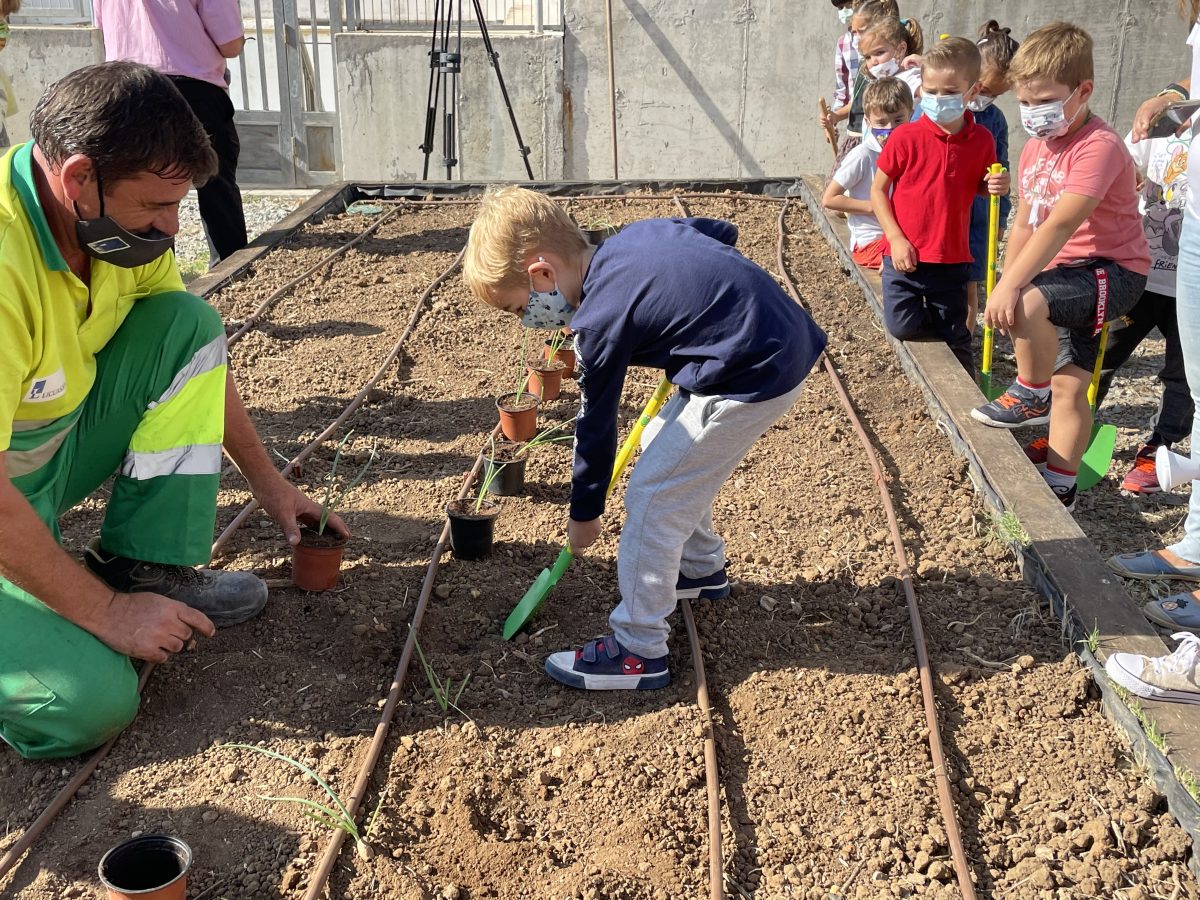 Arranca el primer huerto urbano escolar en Estepona - 4E9A6BC3 F450 430E A5DD 1D6587692FF9 Arranca el primer huerto urbano escolar en Estepona - 4E9A6BC3 F450 430E A5DD 1D6587692FF9