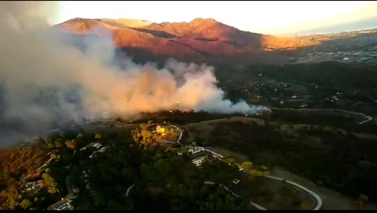 Extinguido el incendio de Casares, tras calcinar 3,1 hectáreas de arbolado - incendio casares Extinguido el incendio de Casares, tras calcinar 3,1 hectáreas de arbolado - incendio casares