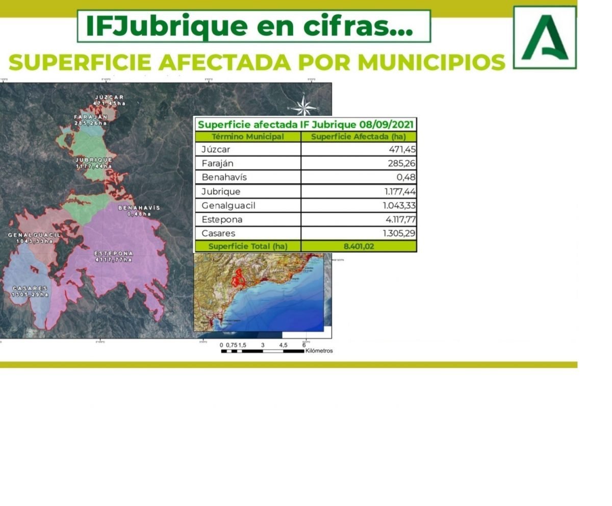 Estepona y Casares, los más afectados por el incendio de Sierra Bermeja - incendio2 Estepona y Casares, los más afectados por el incendio de Sierra Bermeja - incendio2