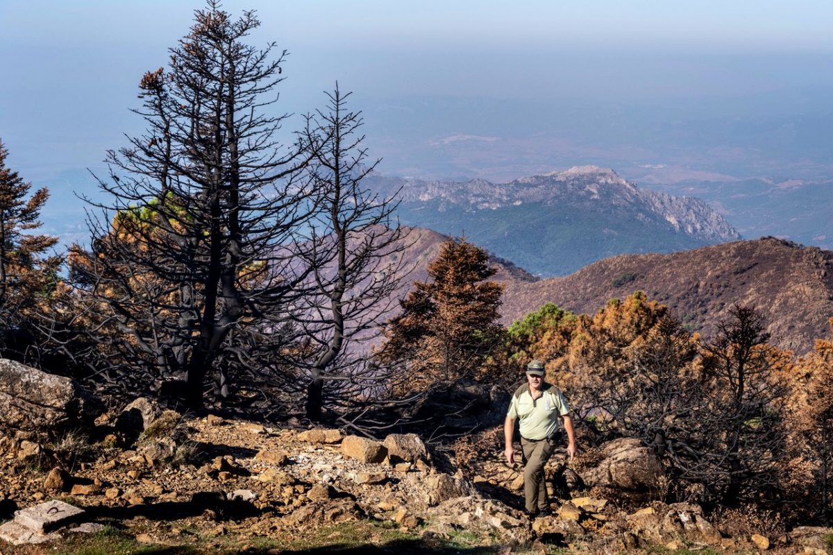 Diputación invierte 1,6 millones en mejoras hidráulicas en municipios afectados por incendio de Sierra Bermeja - vigilancia incendio Un agente de Medio Ambiente vigila una de las zonas afectadas por el fuego en Sierra Bermeja. Archivo